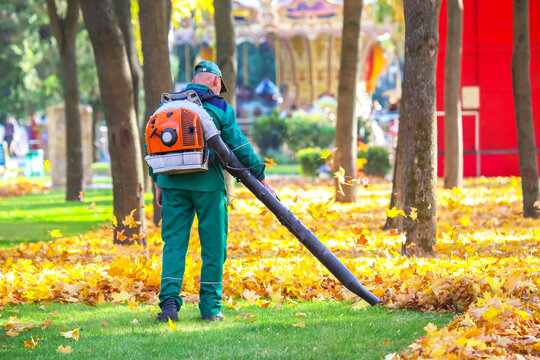 worker in the Park cleans the grass from fallen leaves with the help of a wind turbine