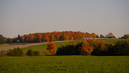 Landscape scenic in fall or autumn in Ontario Canada of rolling hills with green grass and colorful foliage on trees blue sky farm in distance horizontal farming travel or nature image room for type 