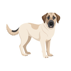 Obraz premium Cute golden retriever puppy sitting on a white background