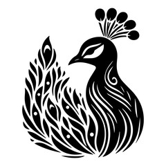 vector illustration of a peacock