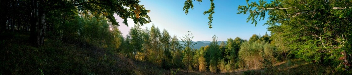 Obraz premium Panoramic nature landscape, soft pastel colors, dream nature, sunset autumn background, peaceful amazing nature panorama