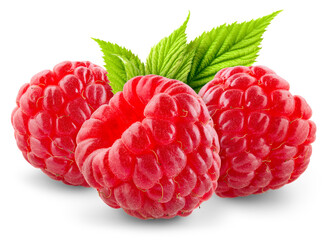Raspberry isolated png. Three raspberries on transparent background. PNG format. Red raspberry with...
