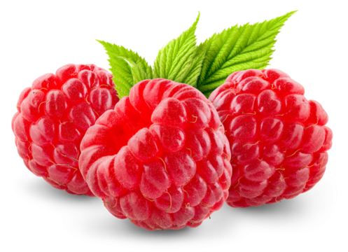 Raspberry isolated png. Three raspberries on transparent background. PNG format. Red raspberry with leaf. No background. Full depth of field.