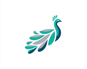 Peacock logo design icon symbol vector illustration. Peacock bird template.