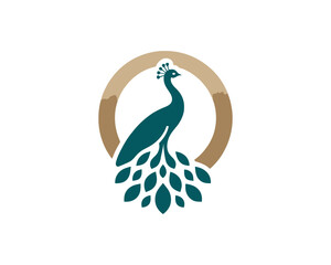 Peacock logo design icon symbol vector illustration. Peacock bird template.