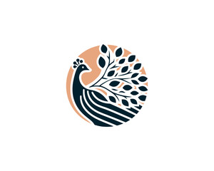Peacock logo design icon symbol vector illustration. Peacock bird template.