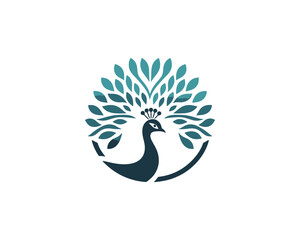 Peacock logo design icon symbol vector illustration. Peacock bird template.