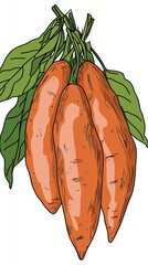 High quality illustration of Stylized sweet potatoes with bold outlines in blue, expressive and artistic