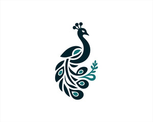 Peacock logo design icon symbol vector illustration. Peacock bird template.