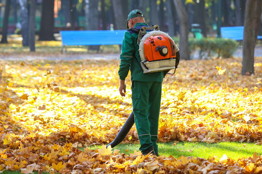 worker in the Park cleans the grass from fallen leaves with the help of a wind turbine