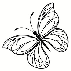  Simple Line Art of a Butterfly with Delicate Wing
