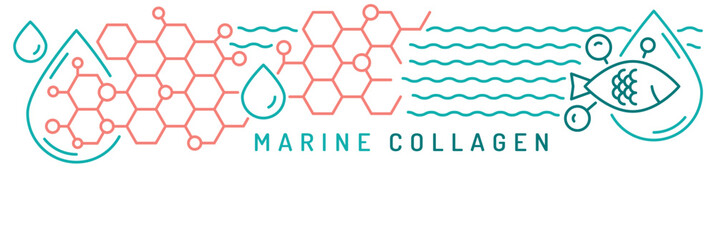 Collagen line web banner. Connective tissue protein.