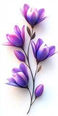 Beautiful violet and purple flower branch with elegant petals on a soft white background, perfect for floral designs and decoration.