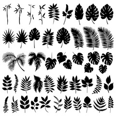 A collection of black silhouette tropical plant and tree icons, featuring various palm trees, ferns, and botanical elements in a minimalistic style on a white background.