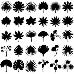 A collection of black silhouette tropical plant and tree icons, featuring various palm trees, ferns, and botanical elements in a minimalistic style on a white background.