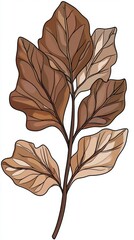 Detailed botanical illustration of kale leaves in brown, intricate and natural High quality illustration