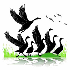 Duck Silhouette Collection - Black and White Set of ducks silhouettes in different poses.