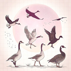 Duck Silhouette Collection - Black and White Set of ducks silhouettes in different poses.