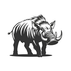 Fototapeta premium Monochrome illustration of a wild boar with prominent tusks standing in a powerful and determined stance.