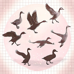 Duck Silhouette Collection - Black and White Set of ducks silhouettes in different poses.