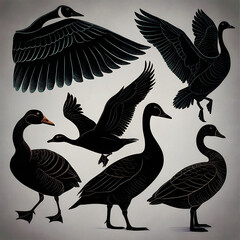 Duck Silhouette Collection - Black and White Set of ducks silhouettes in different poses.