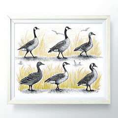 Duck Silhouette Collection - Black and White Set of ducks silhouettes in different poses.