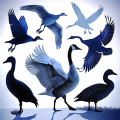 Duck Silhouette Collection - Black and White Set of ducks silhouettes in different poses.
