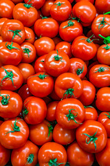 red tomatoes in bulk on market