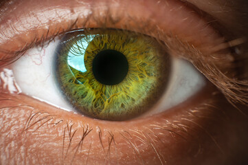 macro photography eye detailed iris close up studio lights natural colors
