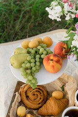 Summer picnic with fruits and pastries