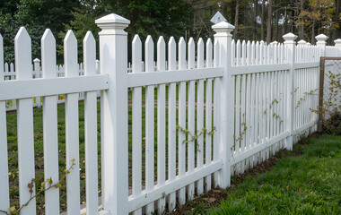 White picket fence backyard is made wood has vinyl fencing