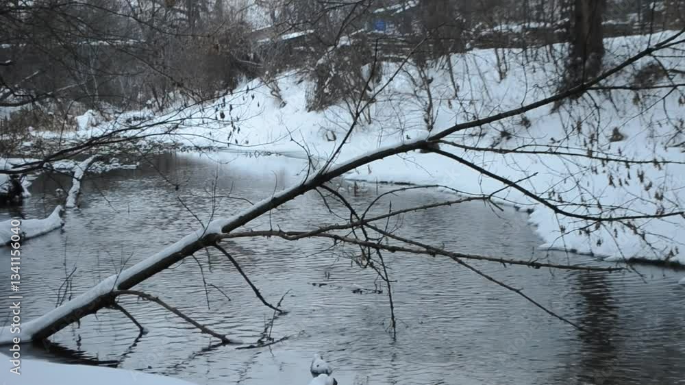 Poster branch is floating in a river with snow on it. the water is calm and the sky is cloudy