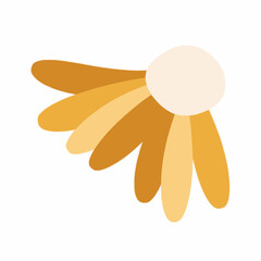 A Graphic Daisy: A simple, stylized graphic of a daisy, with a central white bloom and a fan of orange and yellow petals, representing the beauty of nature and botanical elegance.