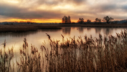 Poranek nad Stawami Dojlidzkimi, Podlasie, Polska © podlaski49