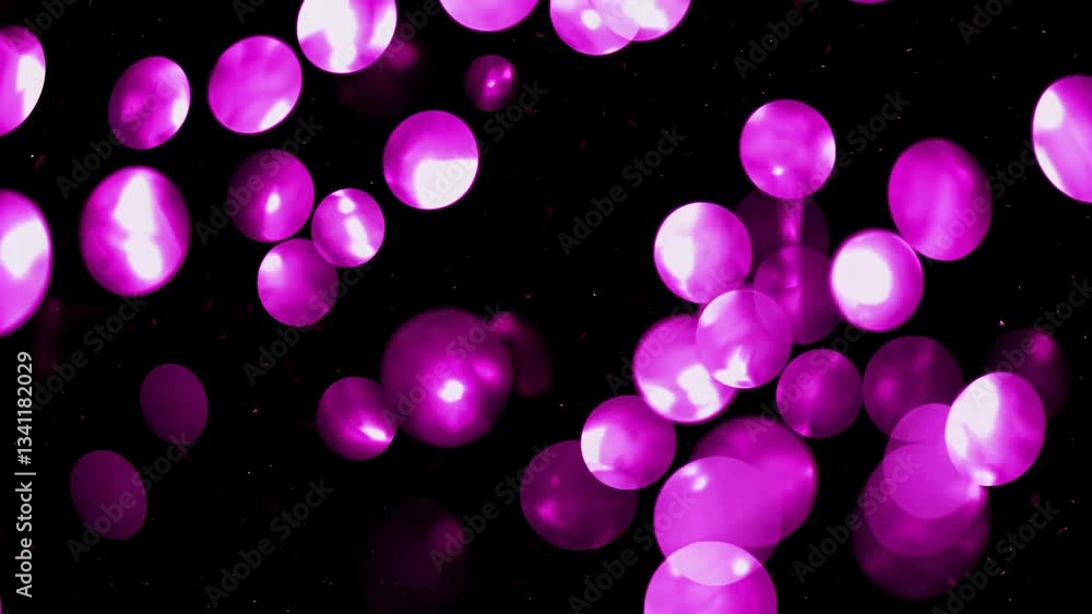 Poster pink bokeh lights floating on a black background. abstract motion graphics concept. perfect footage 