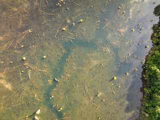 Aerial view top down Drone view over swamp or lake,Amazing nature view in the morning at Klong root lake Krabi Thailand