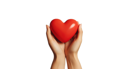 Red Heart Held by Hands on PNG Transparent Background