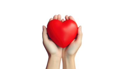 Hands Holding A Red Heart Isolated on the PNG Transparent Background