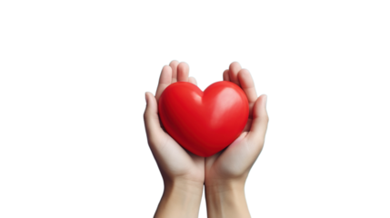 Hands Hold A Red Heart on the PNG Transparent Background