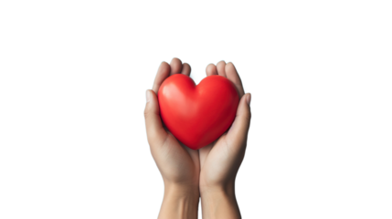 Hands Hold A Red Heart on the PNG Transparent Background