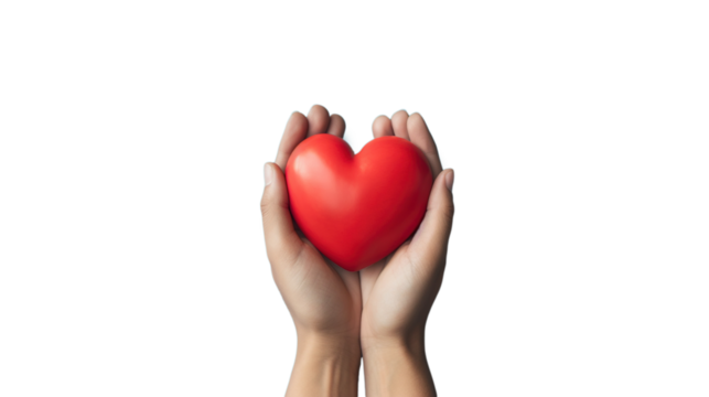 Hands Hold A Red Heart on the PNG Transparent Background
