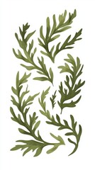 Delicate Botanical Illustration of Intricate Leaf Patterns in Muted Green Hues