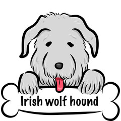 HPや挿絵で使えるポップでゆるくてかわいい手描き風犬のベクターイラストアイリッシュウルフハウンド