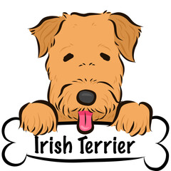 HPや挿絵で使えるポップでゆるくてかわいい手描き風犬のベクターイラストアイリッシュテリア