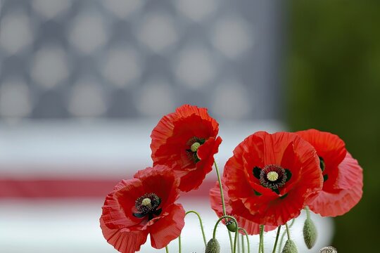 poppies, soldier, memorial day, day of mourning/ Silhouettes of a soldiers with American flag against the sunset. Background for Remembrance Day. Armed Forces concept - Powered by Adobe