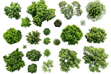 Top View of Various Trees - Perfect for Landscape Design
