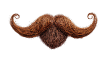 Curly stylish beard with must ache cut out isolated on white background 