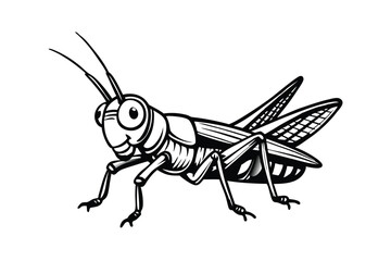  grasshopper isolated on white