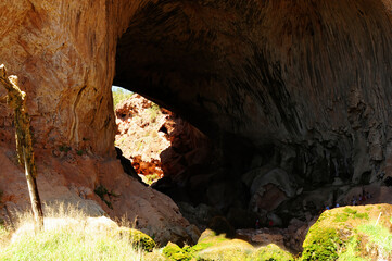 Tonto National Forest Arizona