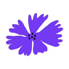 blue flower on white background